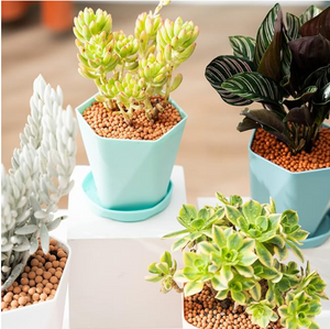 6.6 inch Plant Pots Indoor Plastic Flower Pots Outdoor Set of 3 Pack Plant Pots with Drainage Holes and Saucers for Garden (MGM 3 Pcs)