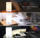 Led Bedside Lamp, Cordless Bedside Touch Lamp with No Flicker Led & Dimmable Warm Whites & Vibrant RGB Colors & Memory Function, As Rechargeable Nursery Light & Outdoor Mood Light